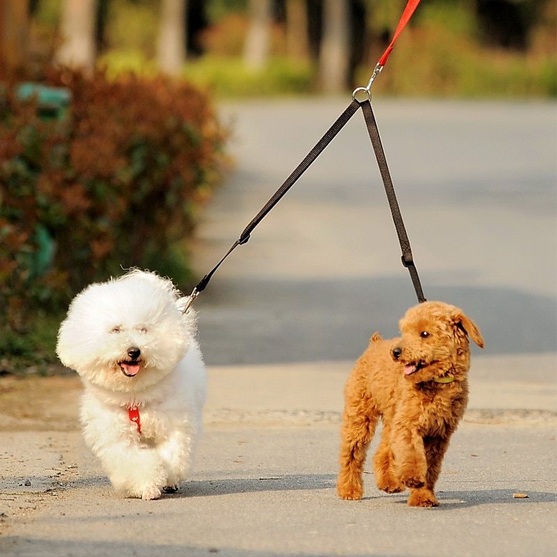 2-Dog Leash Coupler – Double Twin Lead for Walking - Snoopy Doo