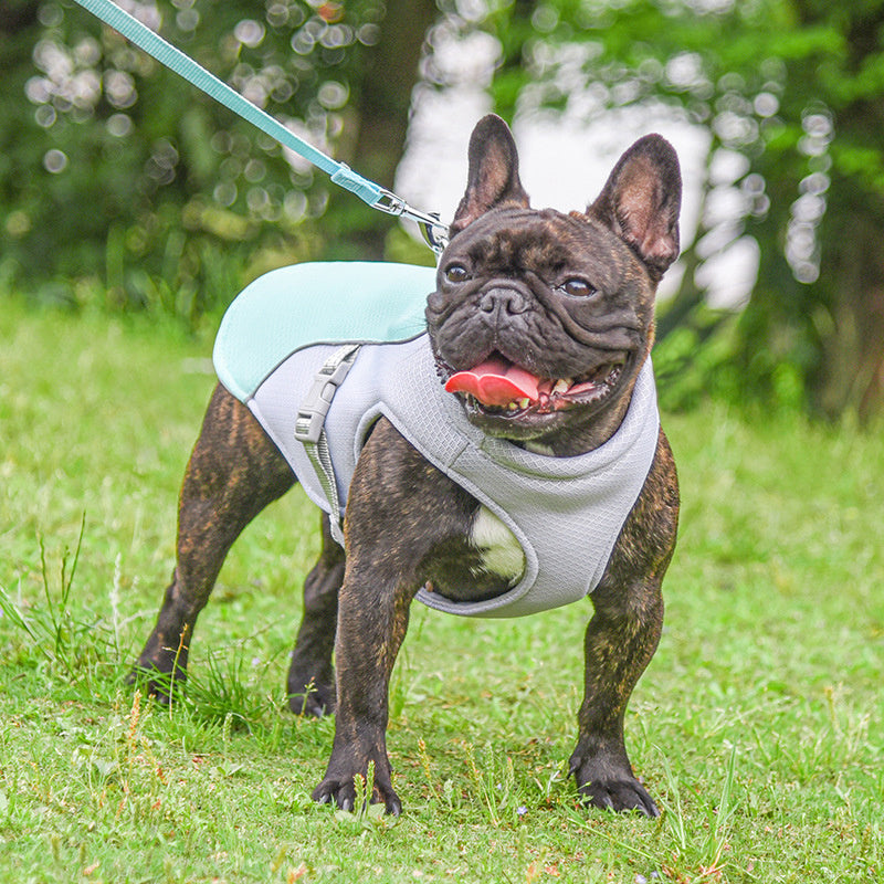 Summer Pet Cooling Vest – Breathable Outdoor Gear - Snoopy Doo