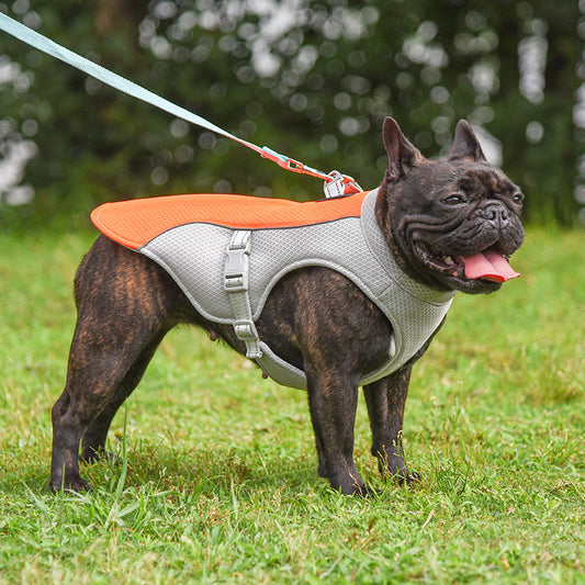 Summer Pet Cooling Vest – Breathable Outdoor Gear - Snoopy Doo